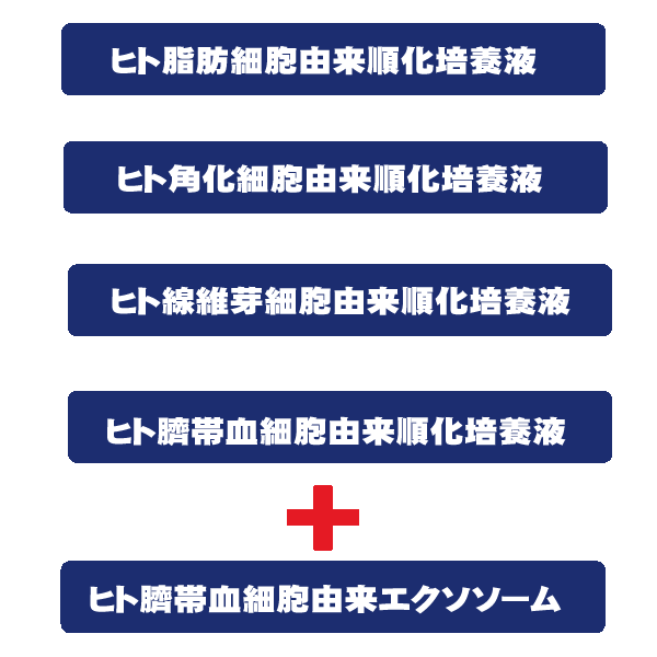 名称未設定-5 - 株式会社ビュ−ティ−マイスタ−